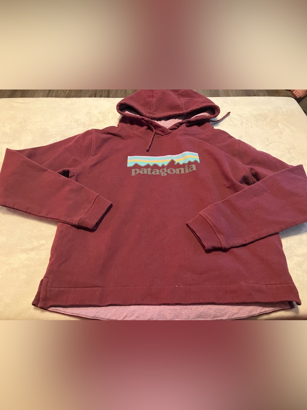 Patagonia Women's Maroon Logo Hoodie Sweatshirt